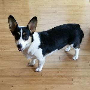 Meet your Posher, Jeffrey